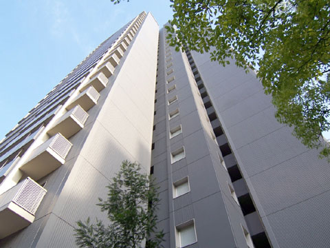 現地外観写真 外観