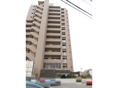 現地外観写真 外観