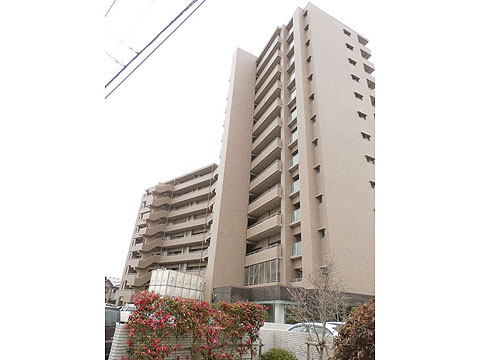 現地外観写真 外観