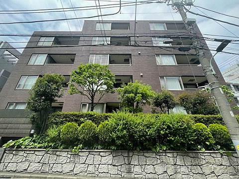 現地外観写真 フォルム5