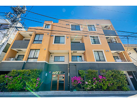 現地外観写真　外観