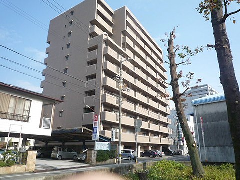 現地外観写真 α知寄町④