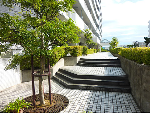 現地外観写真　P1110804