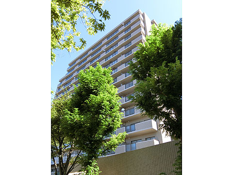 現地外観写真　緑を楽しめるマンションです