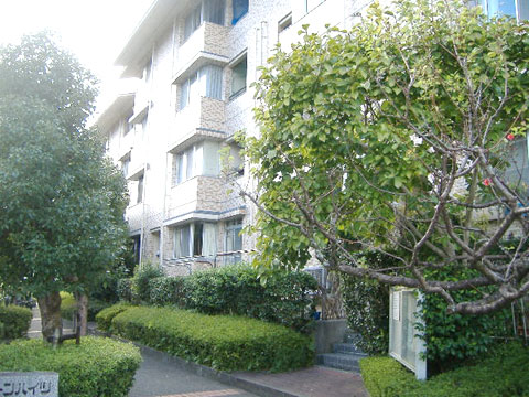 現地外観写真 針木東グリーンハイツ ⑥