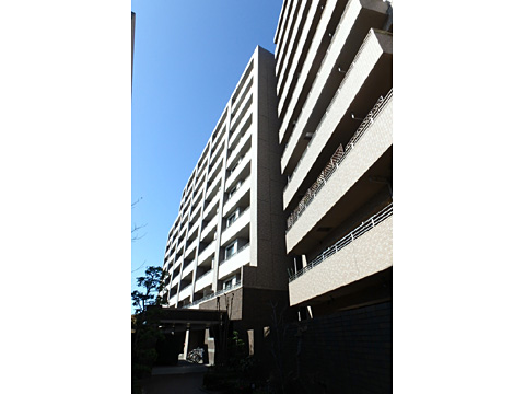 現地外観写真 外観