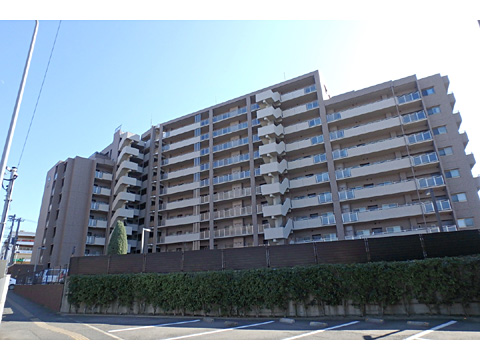 現地外観写真 外観