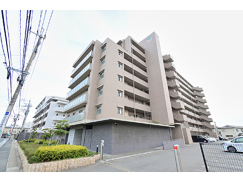 現地外観写真　サーパス荒江 3