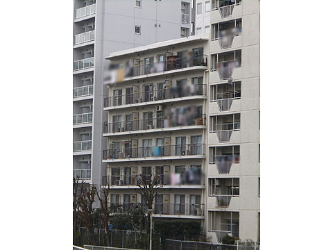 現地外観写真 芝浦運河から撮影