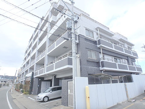 現地外観写真　南東側より撮影