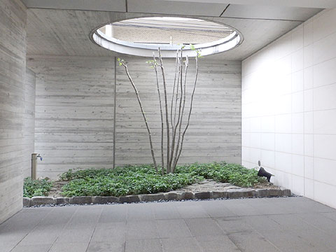 ロビー　ロビー