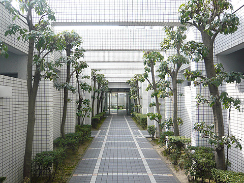 エントランス エントランス