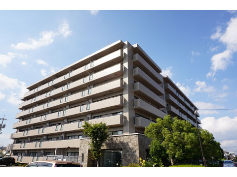 現地外観写真 外観