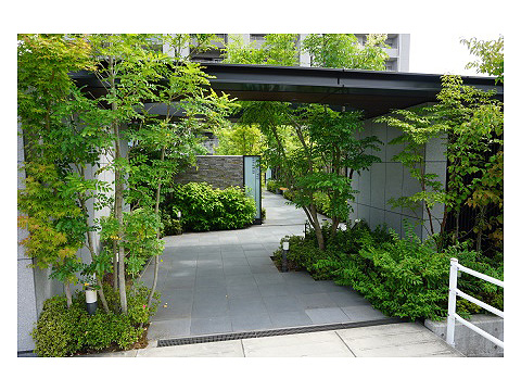 現地外観写真　アプローチ