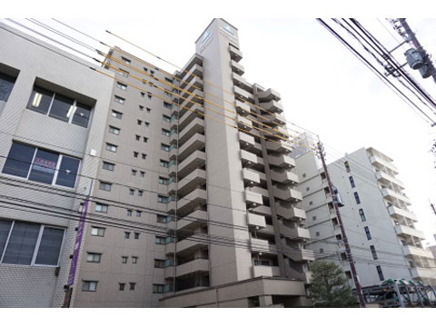 現地外観写真 外観