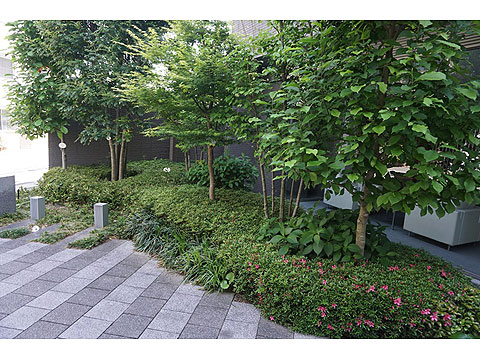 その他共用部 DSC00731