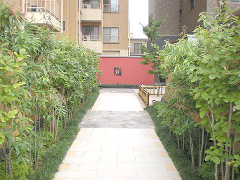 エントランス エントランスアプローチ