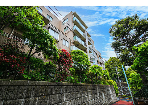 現地外観写真　外観3