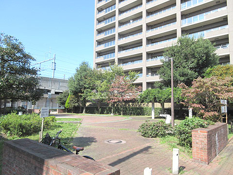 現地外観写真　昭和町公園