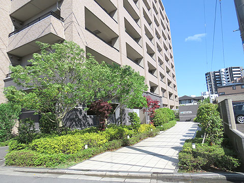 現地外観写真 マンション入り口の植栽