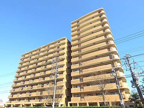 現地外観写真 外観