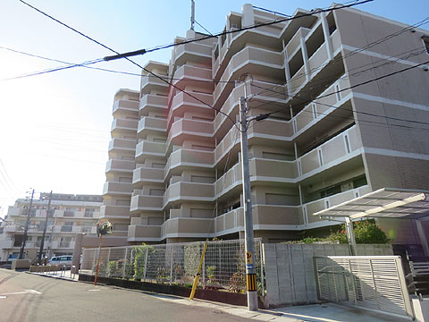 現地外観写真 外観