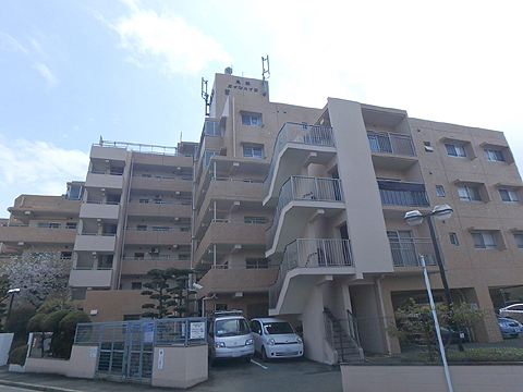 現地外観写真 北側からの外観写真