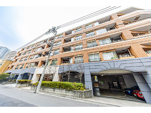 現地外観写真 外観