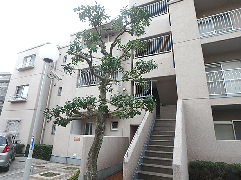 現地外観写真　外観写真