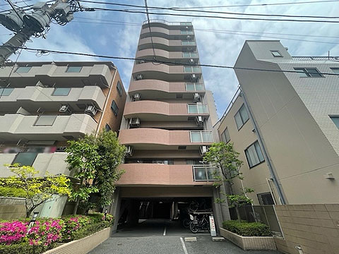 現地外観写真　外観（西側）