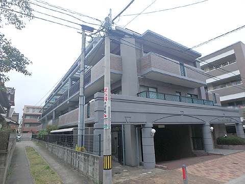 現地外観写真 南東側からの外観写真