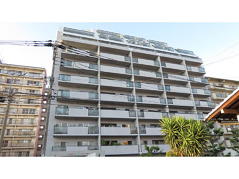 現地外観写真 IMG_1426