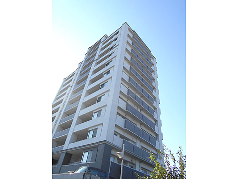 現地外観写真 570