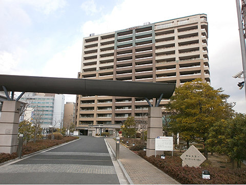 現地外観写真 外観