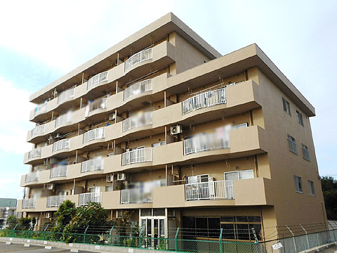 現地外観写真　南東側外観