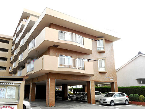 現地外観写真　北側外観