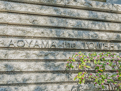 現地外観写真 L1616青山ザタワー807 (9)