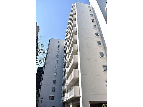 現地外観写真 外観