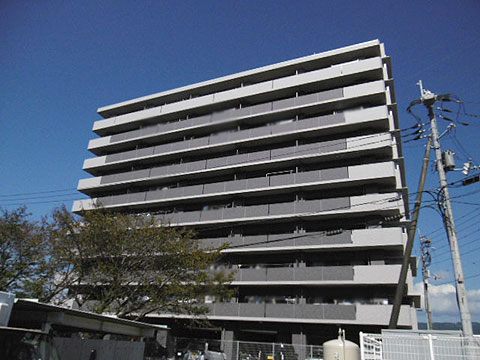 現地外観写真　アルファースマート鏡川緑地公園 (1)