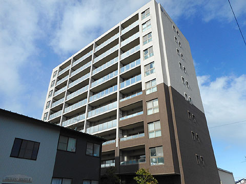 現地外観写真 マンション南東側外観