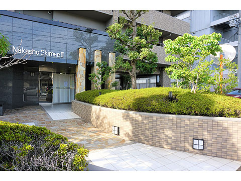 現地土地写真　アプローチ