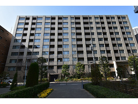 現地外観写真 外観2