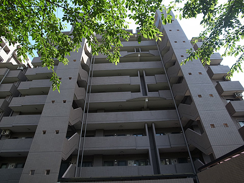 現地外観写真 外観3