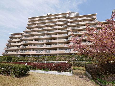 現地外観写真 マンション外観