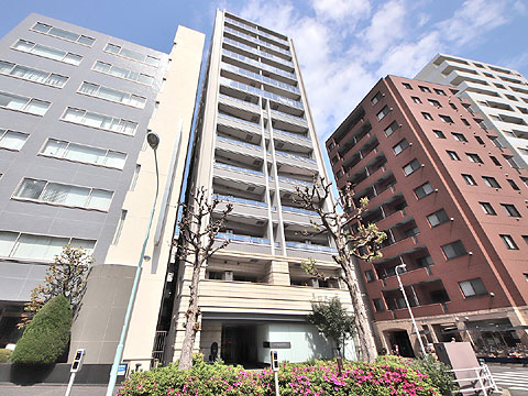 現地外観写真 外観