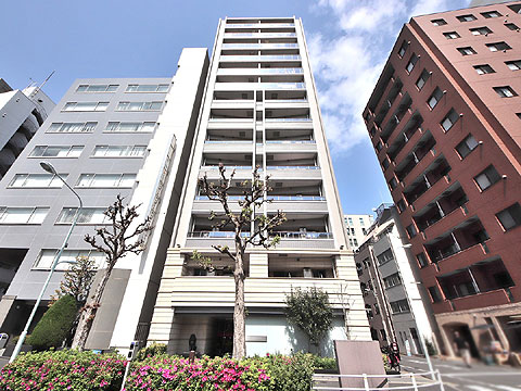 現地外観写真 外観