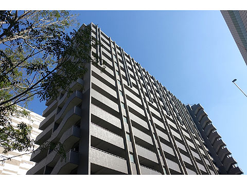 現地外観写真　DSC07287