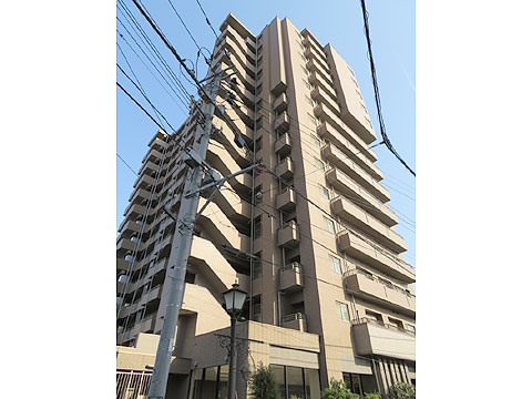 現地外観写真 外観