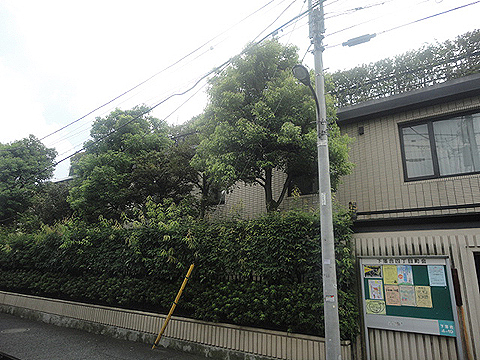 その他共用部 外観4