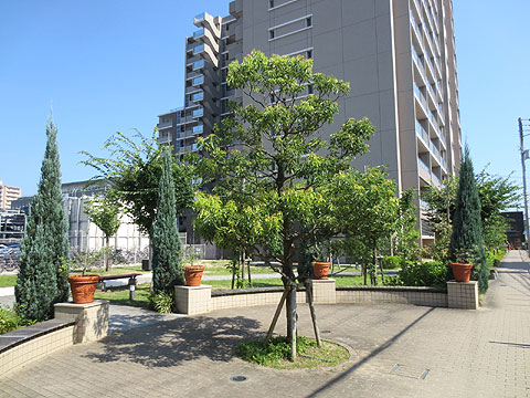 エントランス エントランス